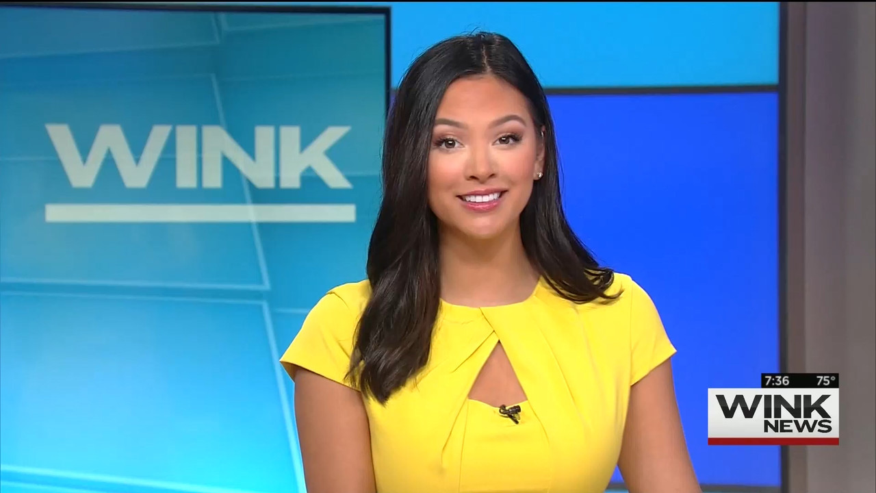 10.25 - 10.00.00 - WINK News @ 6 00AM Sunday..ts_snapshot_37.37.094