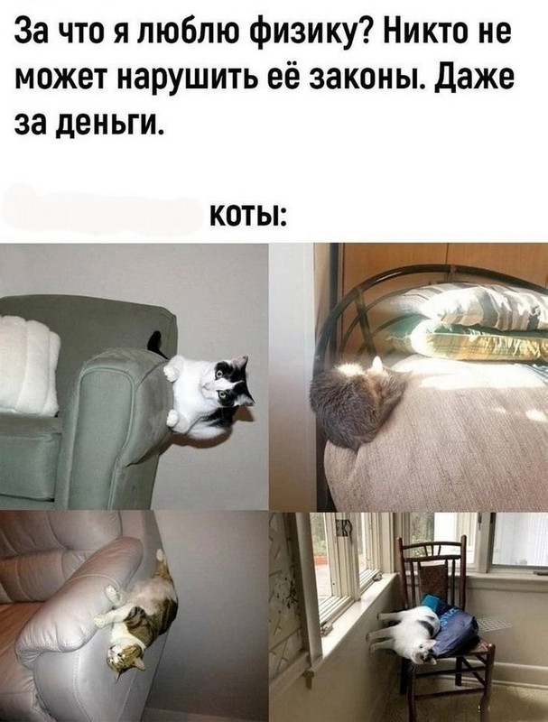 За что я люблю физику