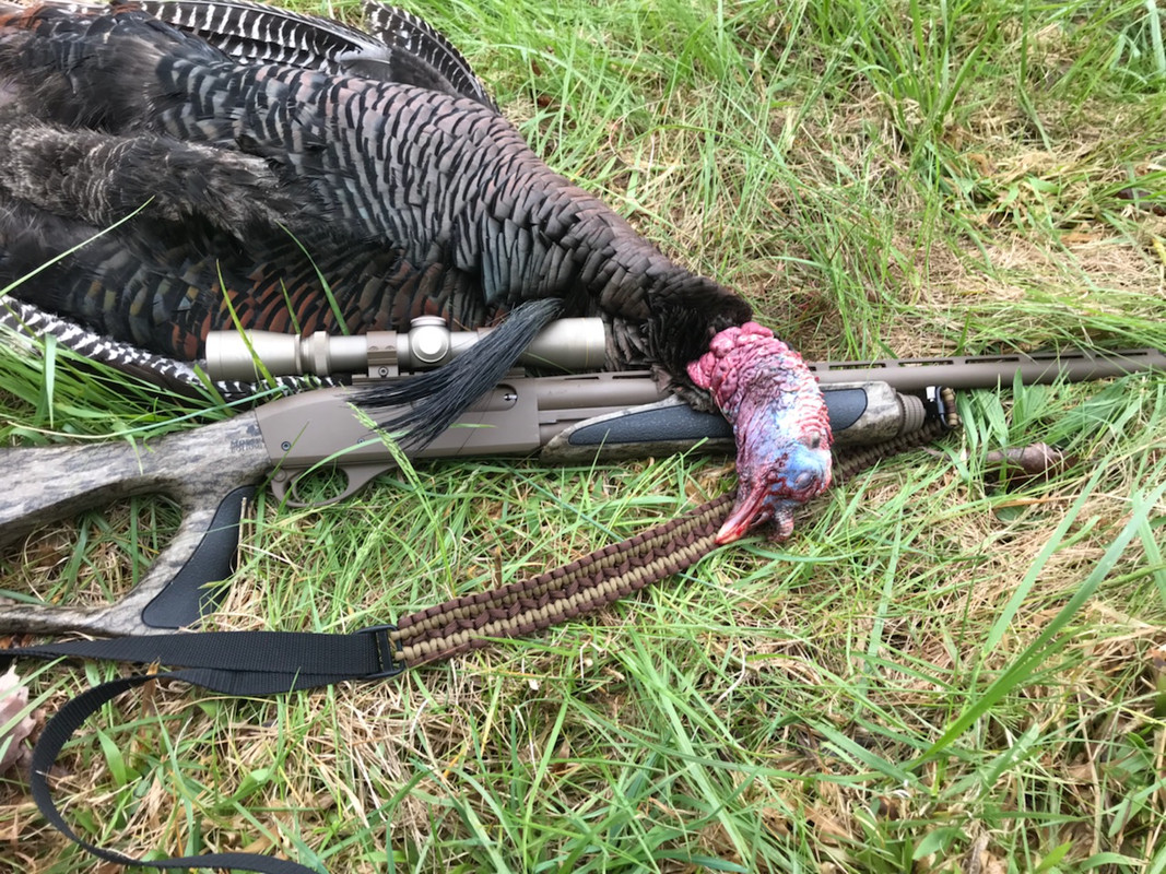 A8B1C124-D687-44E7-9ABE-A44117829779