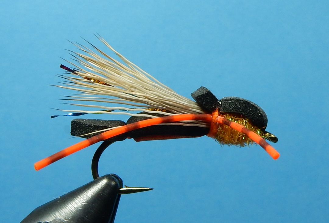 DH-Hopper-1080.jpg