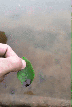 GIFs-20