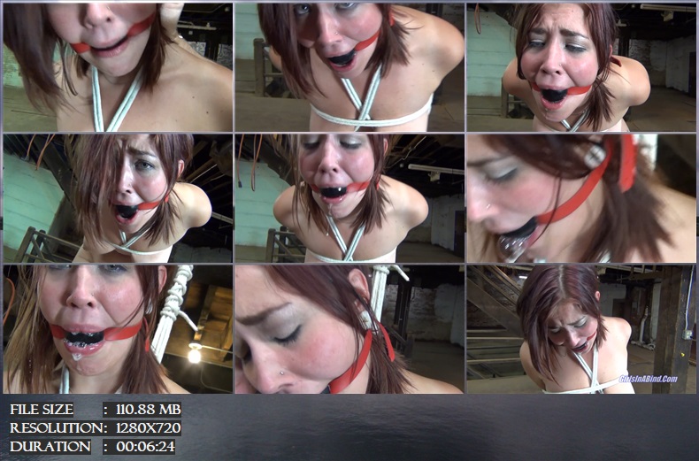 https://i.postimg.cc/CMJV18Wk/338-125-Rope-Marked-Bondage-mp4.jpg