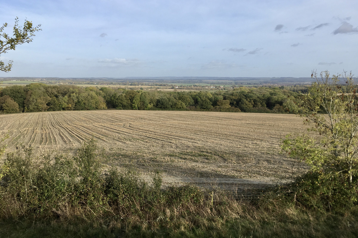 E02BDF6D-D4AC-4916-8725-68FFD41D4CCE