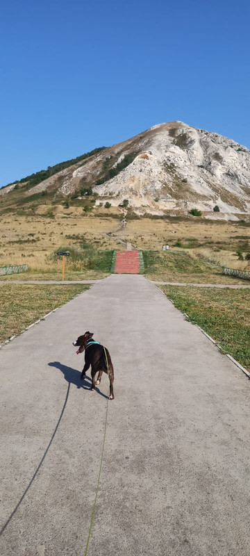 2F8B3DB4-56A7-4A45-9786-48C96DB784BE