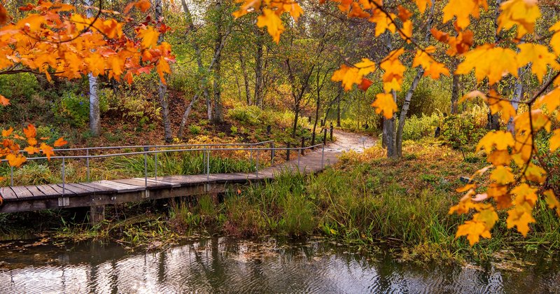 244273428-10159559585765699-4750318603965271426-n