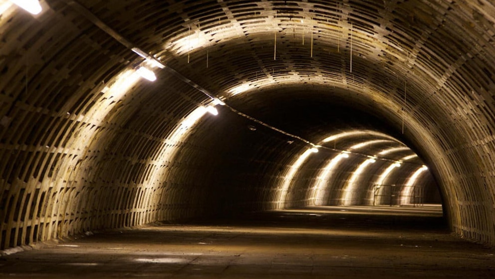 Hallaron un búnker abandonado de la Segunda Guerra Mundial y construyeron una huerta Hallaron un búnker abandonado de la Segunda Guerra Mundial y construyeron una huerta