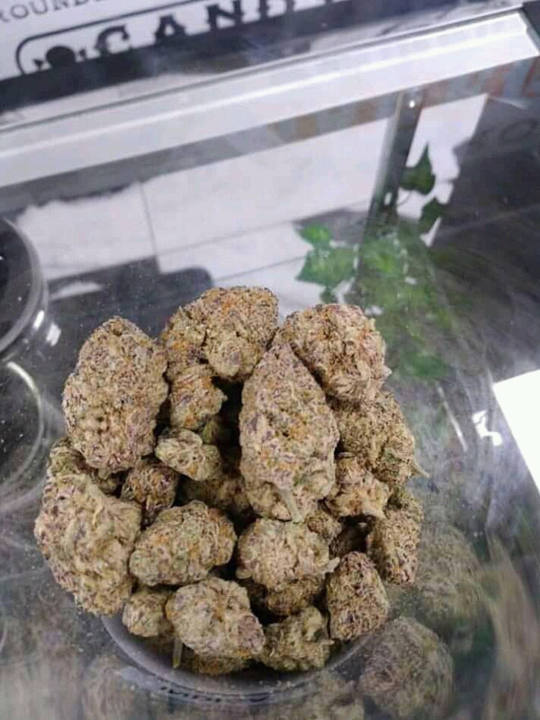 D357BE52-E8BA-4136-B0FC-FB4FC251F50A