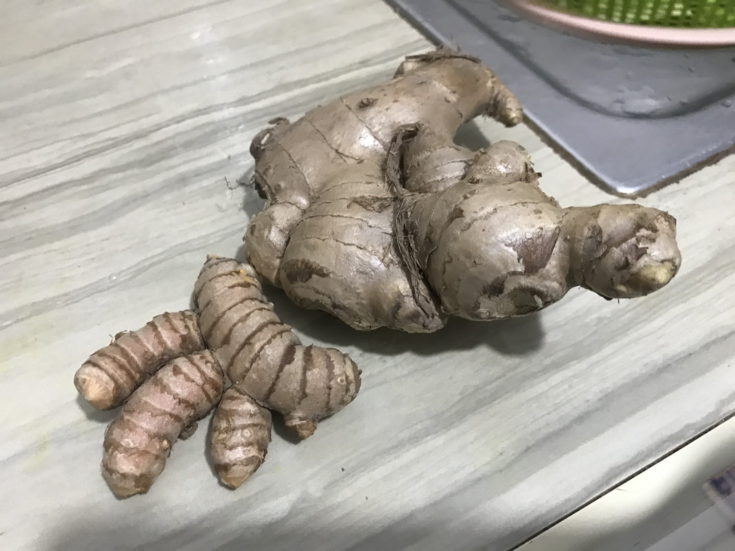 7284C44D-01C9-4606-9E9D-349831B2289E