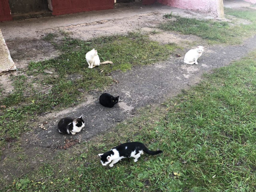 A1317BC6-9DEB-470E-8D53-BA04FF17E07E