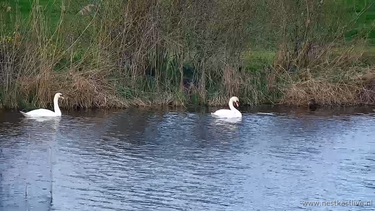 snapshot 2026 03 31T112159 044