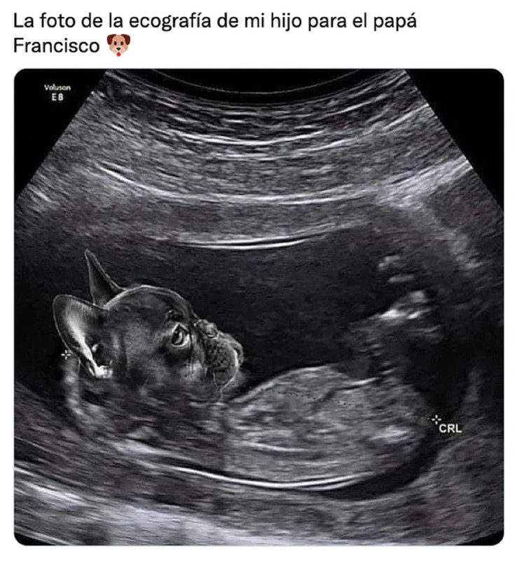 Papa Francisco, los mejores memes que le crearon por criticar a los 