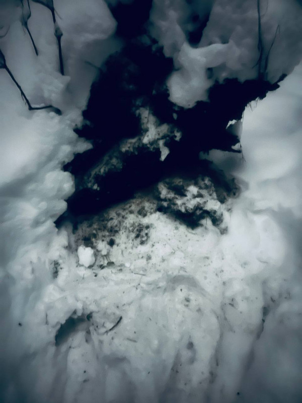 IMG 20260108 222147 290