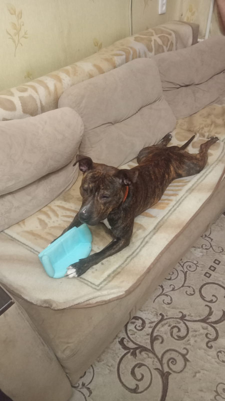 DD4019DE-5C90-49F7-8F67-704AB1844F53