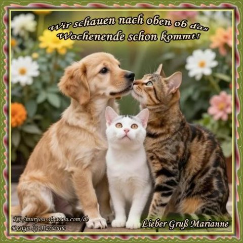 An den Beitrag angehängtes Bild: https://i.postimg.cc/CMN3BdFd/255-Wir-schauen-nach-oben-ob-das.jpg
