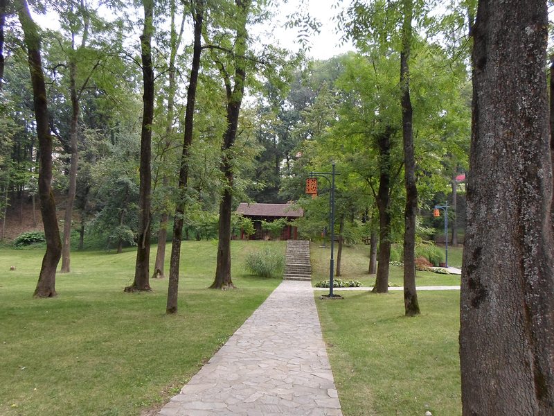Slika