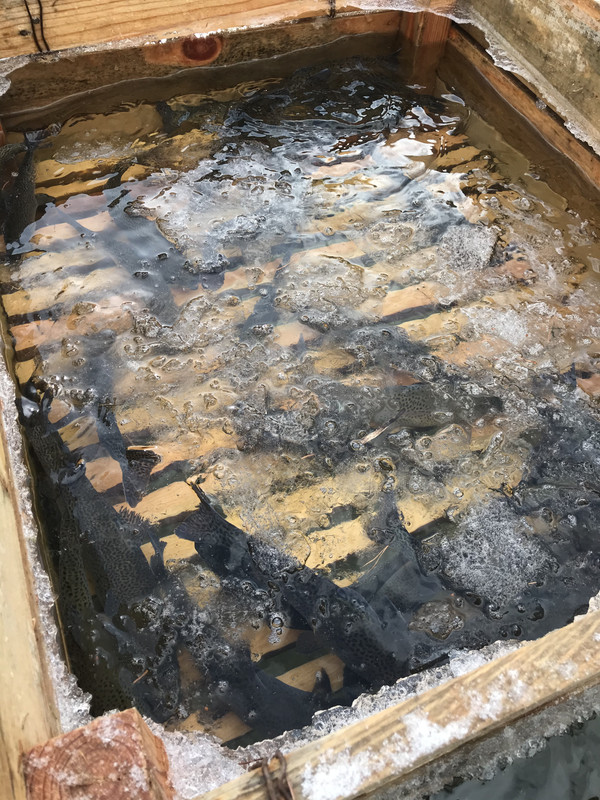 881E87A3-0FF7-4B69-A577-15BFF14988E9