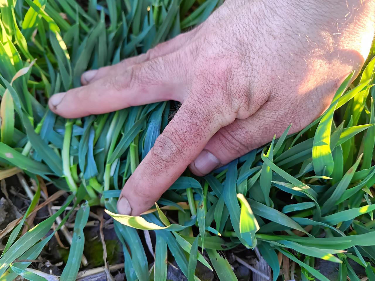 IMG 20260308 162602 650