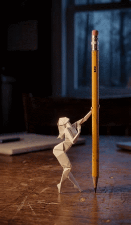 IMG-6627.gif