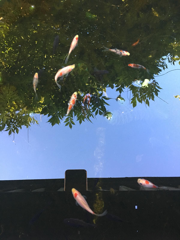 09BA9FB8-DA0A-43FF-9467-EBC9E972F7EE