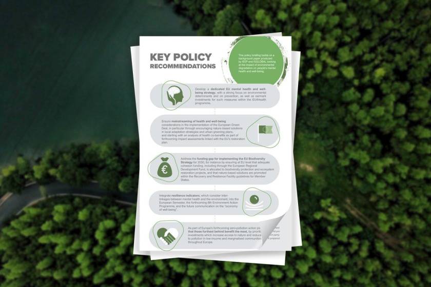 What is the Purpose of an Environmental Action Programme