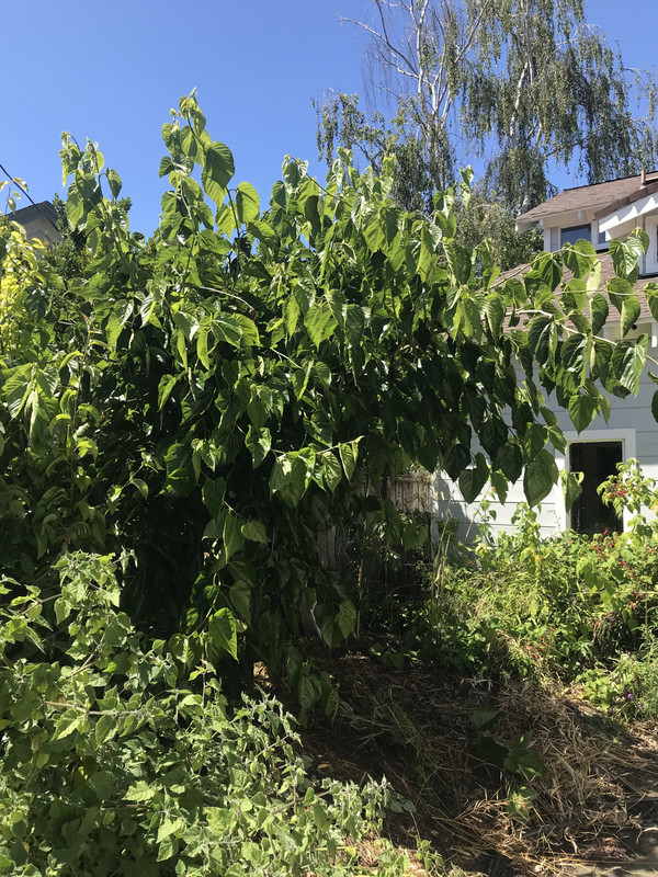 A0205256-DA53-460C-959D-B127D27951CC