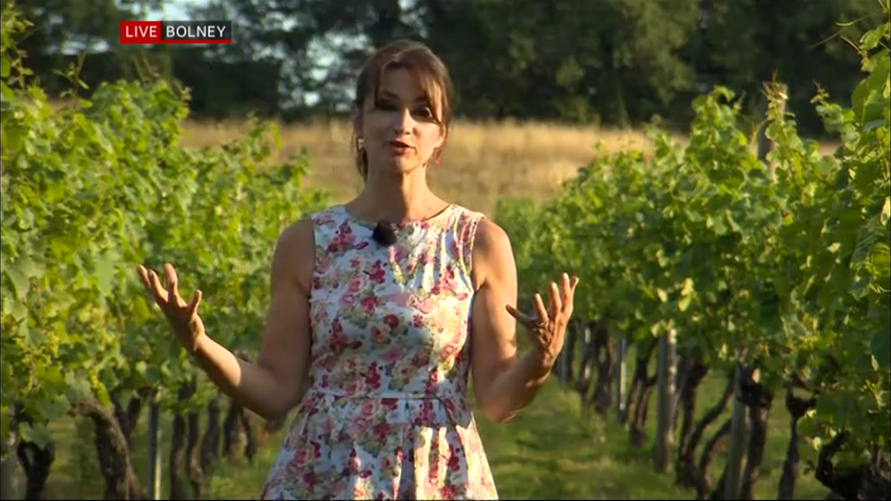 08 16 18 30 01 South East Today Weather South East Today Weath Ts 08-16-18-30-01-south-east-today-weather-south-east-today-weath-ts