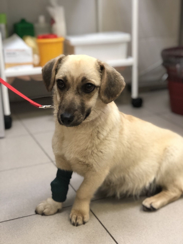 AAD3A171-6DB0-4135-A6A3-84F30175CD8E