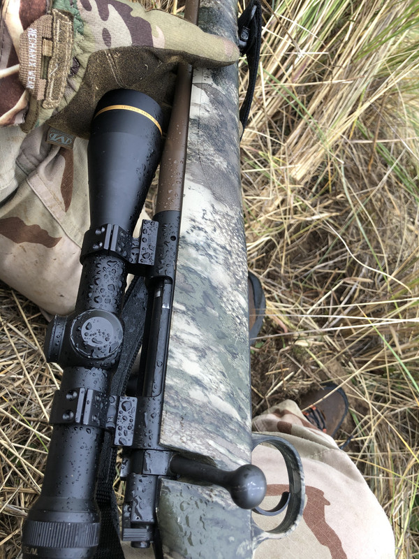 BAD76601-6A66-408B-806A-8CA2C1A272F2