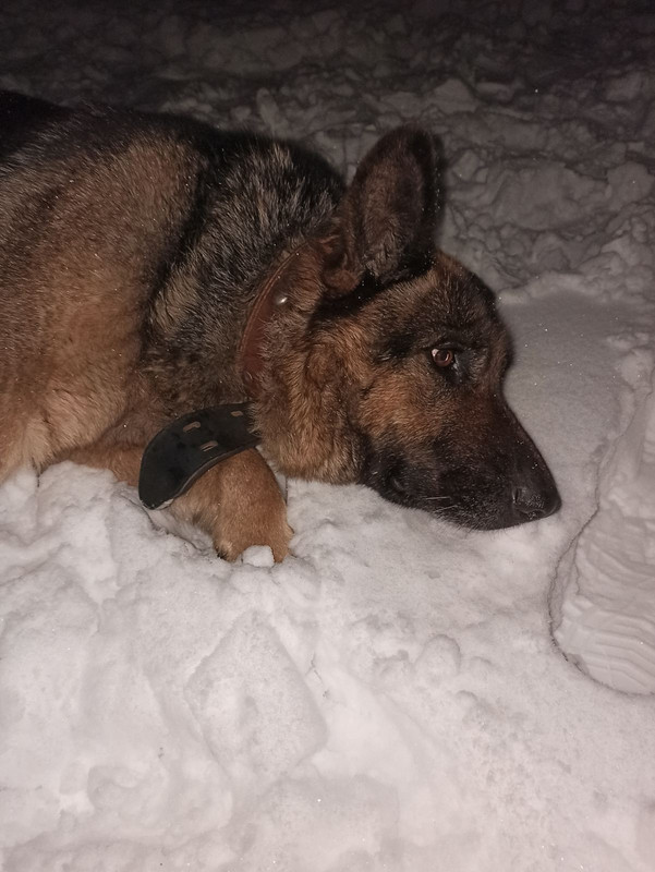 4FF3A43E-A07E-4BFE-96B6-31B566B34156