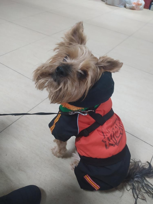 E6B13102-827B-4CF8-BEBC-34CB10587C1D