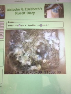 B1034CE8-35CA-4FCE-B64D-43B4DD0C756B