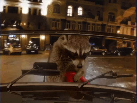 giphy-5-12.gif