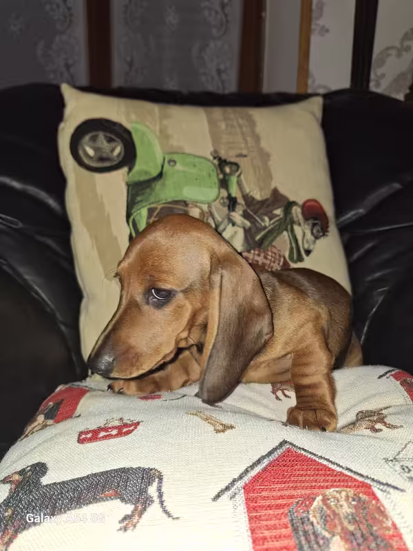 [Image: 20240930-174525.avif]