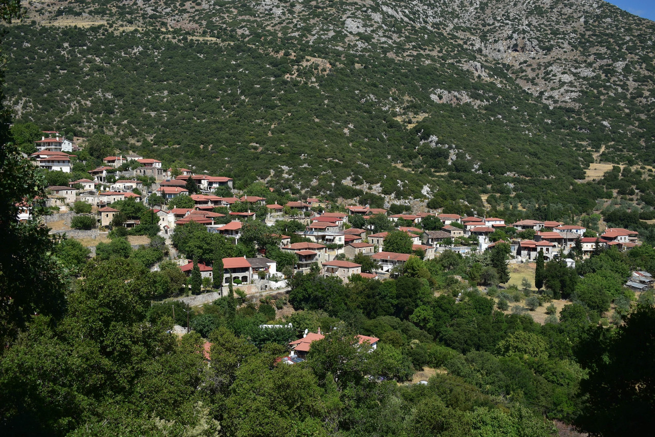 Καρυά (6)