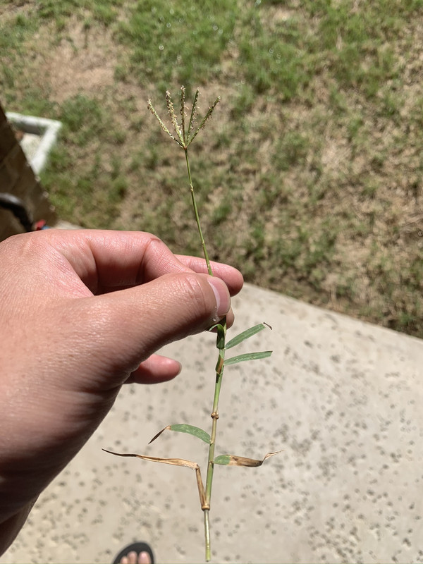 47385A35-9238-42EB-A4AD-FB2EC59154F6