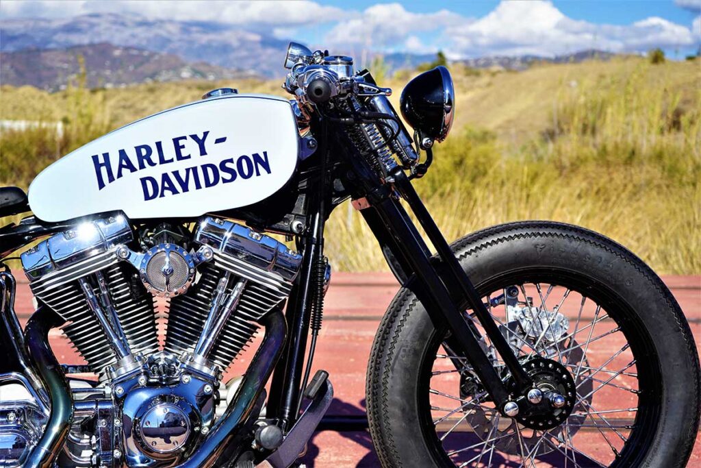 Lord Drake Kustoms: боббер Harley-Davidson Softail Standard