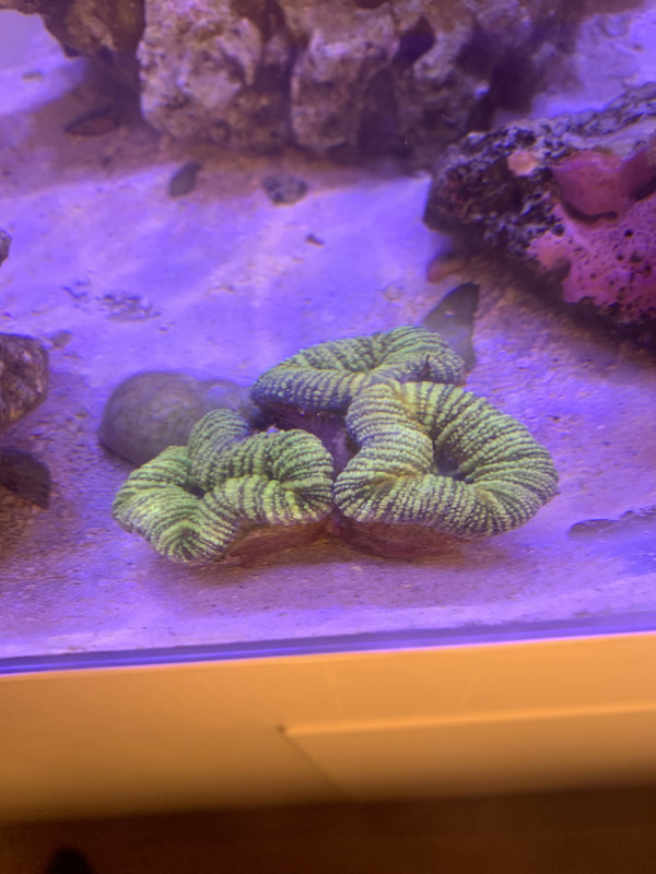 D24A0549-7E6B-4555-A45E-F756726D047E