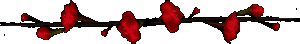 red 77