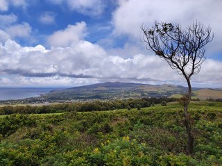 Isla de Pascua - Chile - Blogs de Chile - Ana Te Pahu - Ahu Akivi - Puna Pau - Vinapu - Rano Kau - Orongo (22)