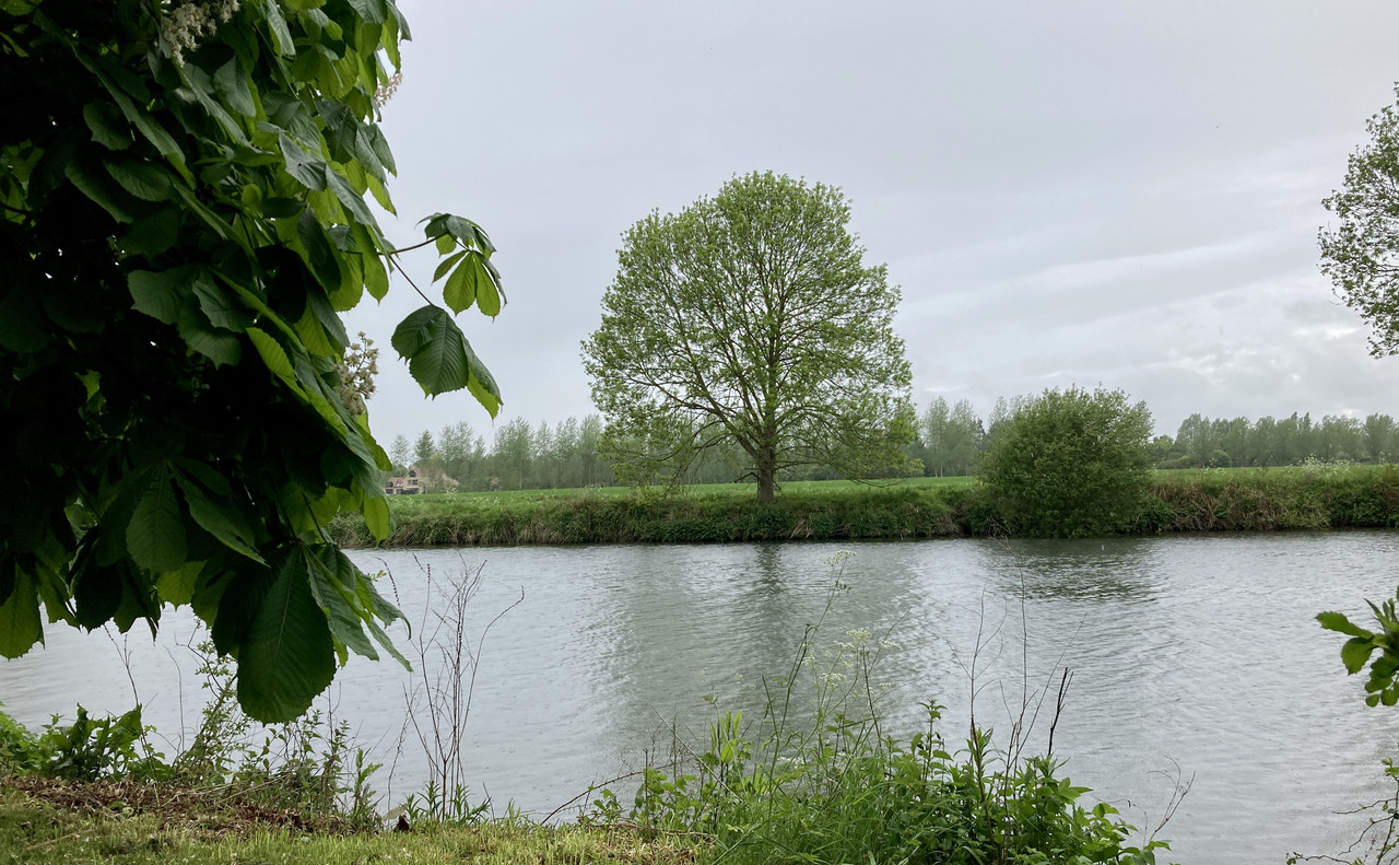 420F23C2-D221-4262-865D-997E4F9460BB