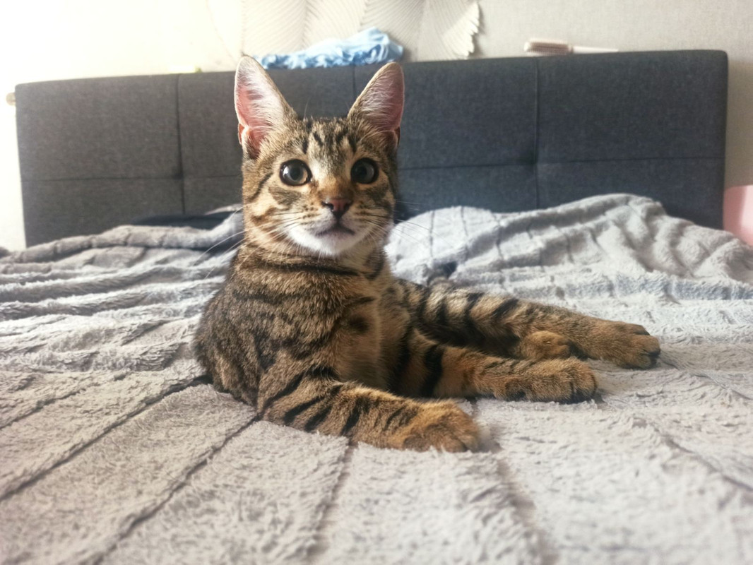 IMG-29e66b4e9707deee548e201817624acb-V