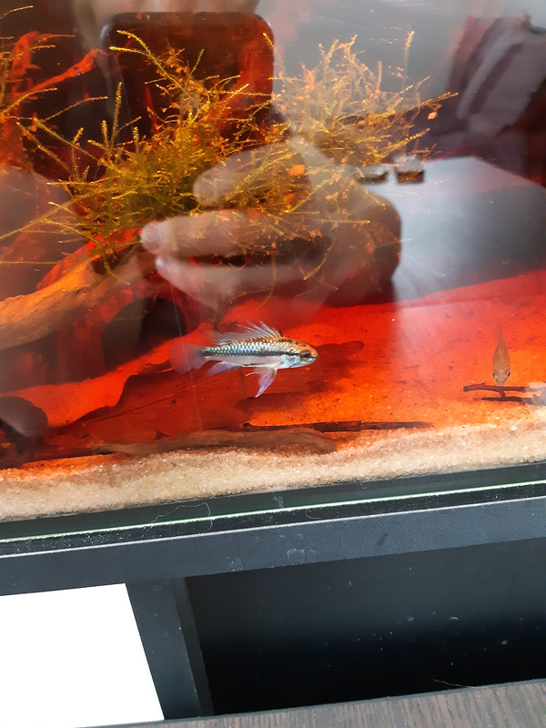 20210513_100927