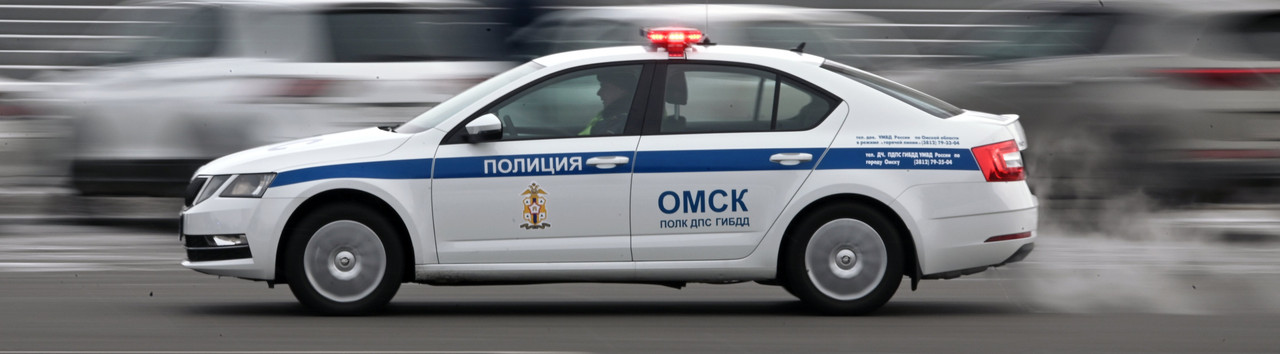 Шкода Октавия 3 ДПС