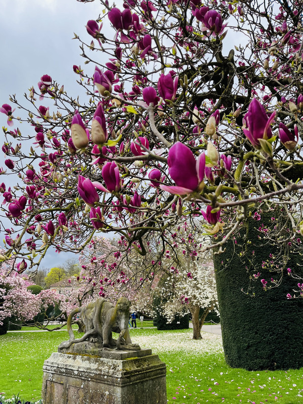 A2277F17-AE03-4C09-9850-9310966EA014