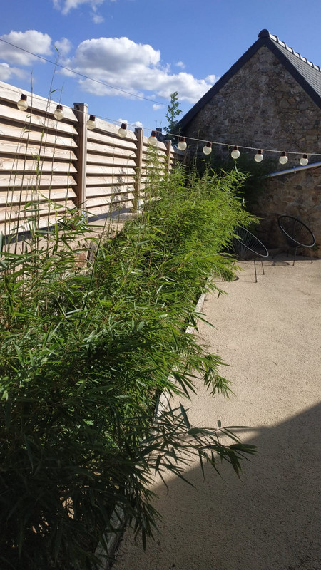 IMG-20220917-WA0002 (1)