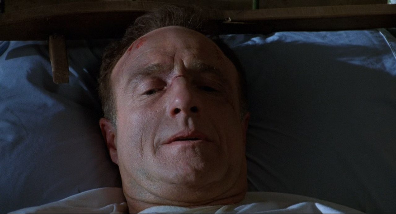 Misery 1990 (1080p x265 10bit Tigole).mkv_snapshot_00.29.49_[201