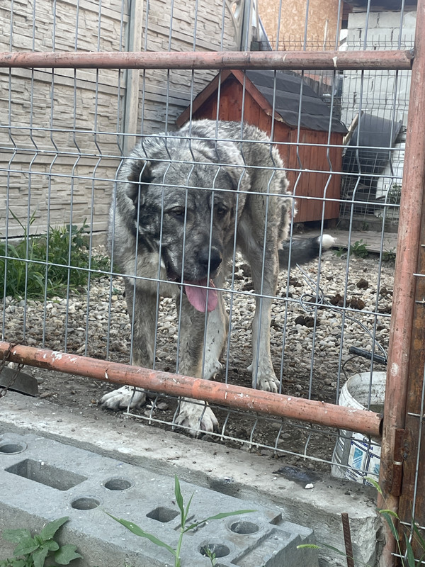 D3C5344B-8B2F-4B4D-ADAA-C76951D937F3