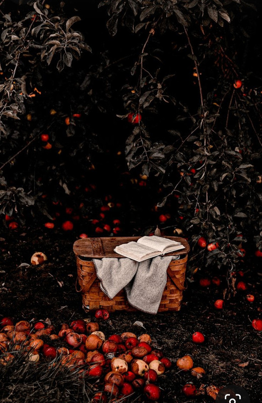 Screenshot_20231217_224130_Pinterest