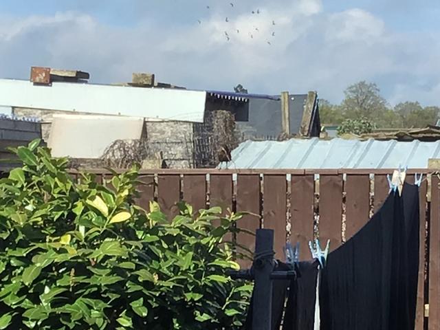 E522E31E-DBBC-48BF-AEF4-B823C64B2AA6