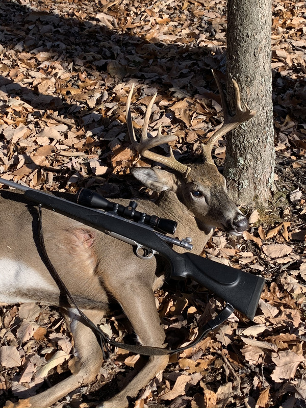 ADE31C1D-476E-4DA2-B455-490602F06BD0